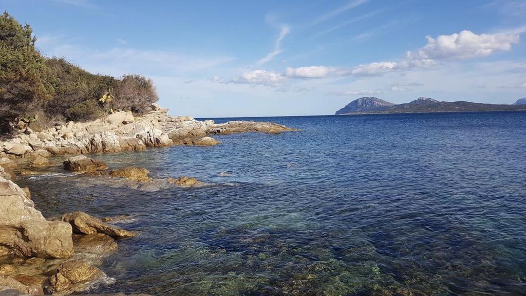 Appartamento A Porto Rotondo - Villaggio Punta Volpe - Iun S5393 Ngoại thất bức ảnh