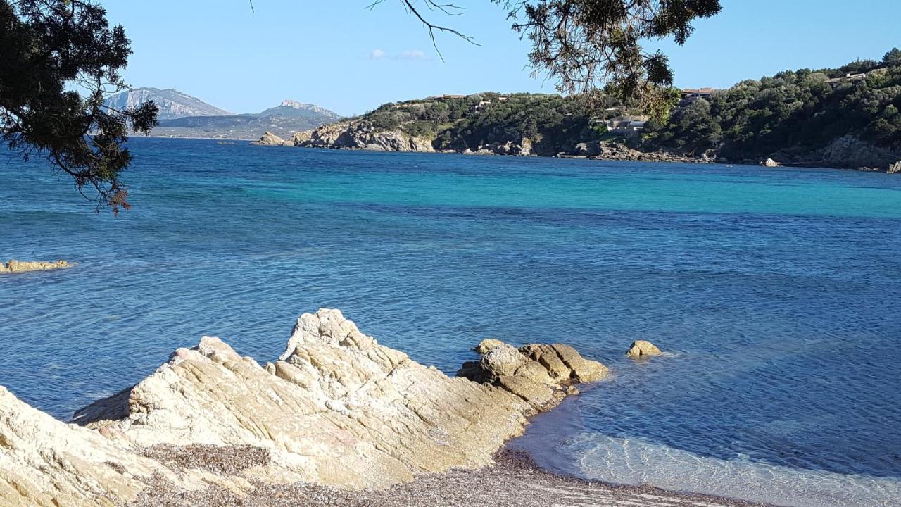 Appartamento A Porto Rotondo - Villaggio Punta Volpe - Iun S5393 Ngoại thất bức ảnh